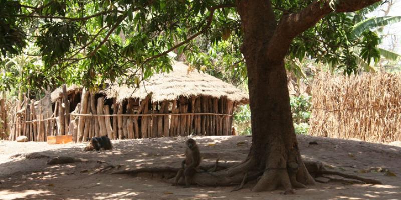 Anthropology and the Nature-Society-Development Nexus