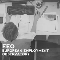 European Employment Observatory - representante para Portugal