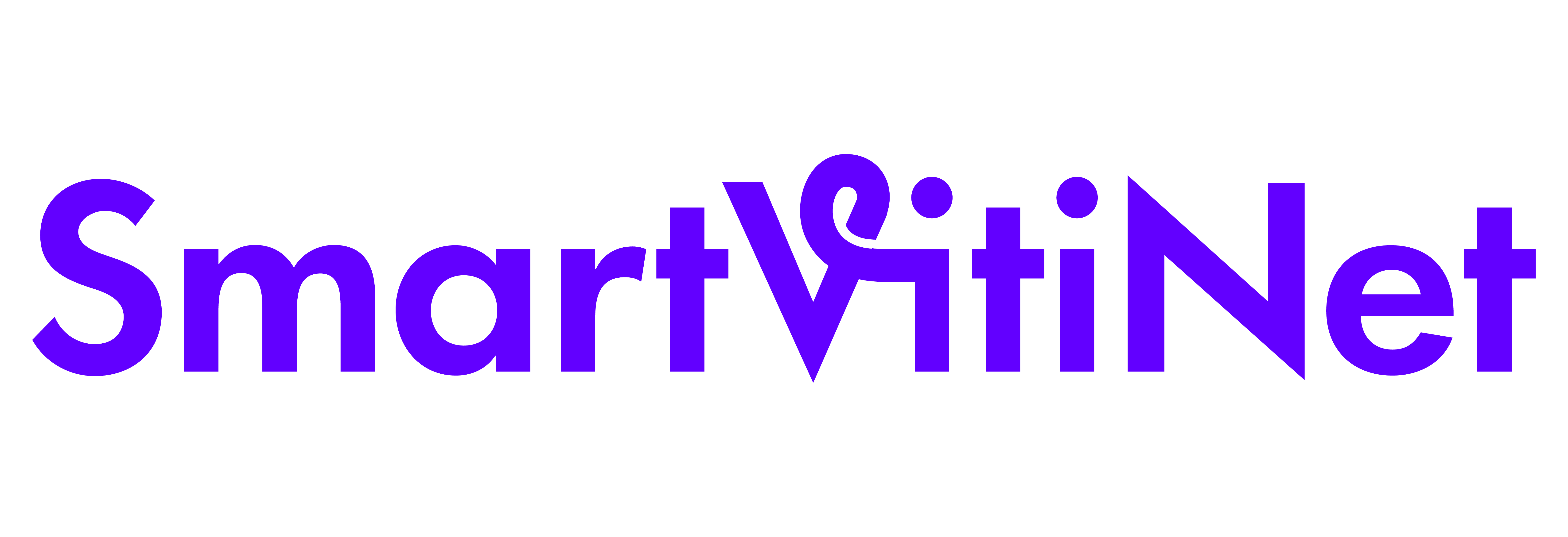  SmartVitiNet 